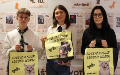 ZOO City prepoznao našu inicijativu udomljavanja životinja! 