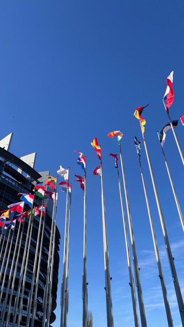 WhatsApp Image 2026-03-16 at 21.26.07 (2)