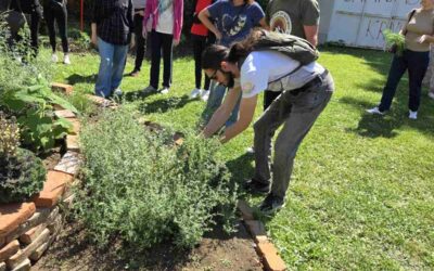 Radionica u školskom vrtu: Orezivanje ljekovitog i aromatičnog bilja
