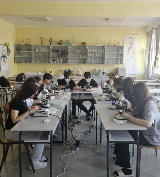 Mikroskopiramo tajni svijet našeg vrta 